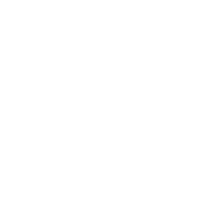 Ray Roman